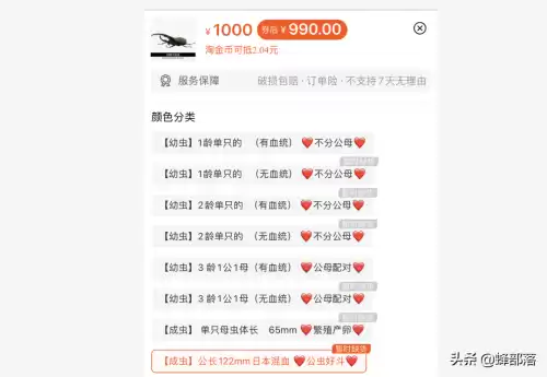日本独角仙多少钱一只　独角仙多少钱-第3张