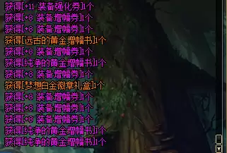 dnf使徒的特别宝物　dnf之使徒的救赎-第13张