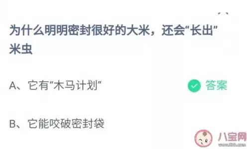 为什么密封好的大米还会长出米虫　大米如何防米虫-第1张