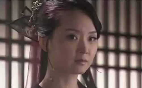 流星蝴蝶剑女主遭遇了什么　流星蝴蝶剑讲的什么-第2张