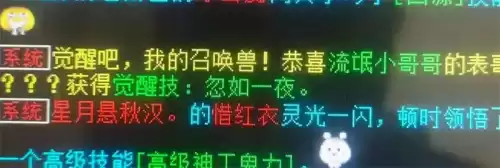 如何快速集齐大雁塔神兽碎片　大话西游2神兽凤凰怎么得到-第20张