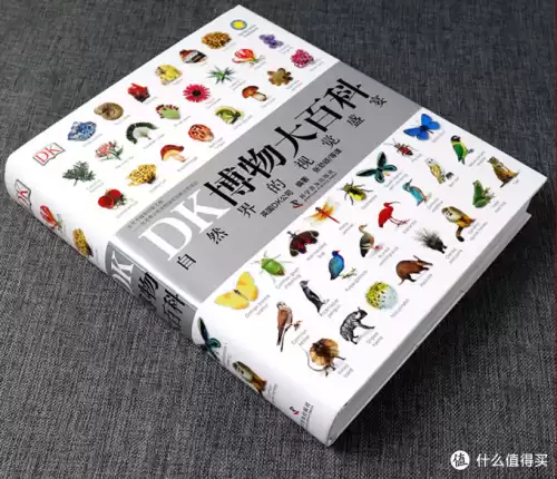 dk百科是什么意思　Dk百科全书劝你别买-第11张