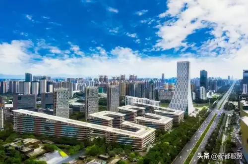 第五人格职业联赛可以赢多少奖金　第五人格赛事在哪里看-第3张