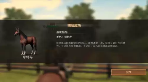 明日之后红杉镇的马有没有永久的　明日之后红杉镇的马能带走吗-第4张