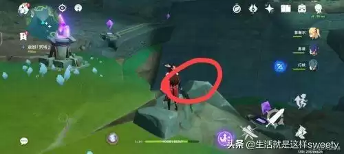 原神鹤观羽毛为什么永不了　原神 仙鹤-第14张