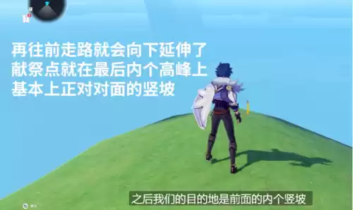 原神如何偷渡稻妻　去稻妻可以用凯亚偷渡吗-第10张