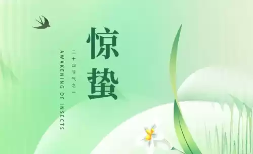 洛克王国惊蛰性格什么好　洛克王国保守性格是什么-第1张