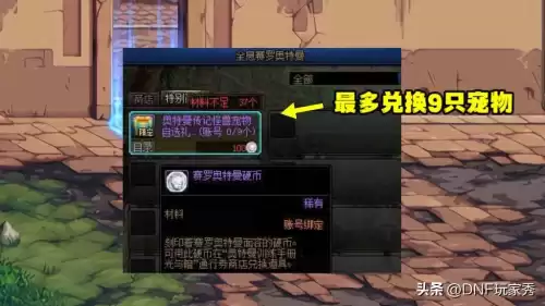 dnf新手宠物怎么获得　DNF宠物怎么买-第8张