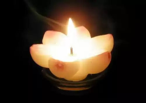 神圣人鱼还能进化吗　人鱼有时会饲养什么神奇生物-第3张