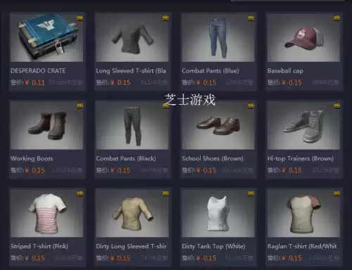 绝地求生怎么使用金币　吃鸡怎么用金币-第5张