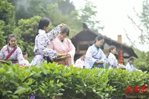 湖南桃花源景区好玩吗　桃花源景区电话号码多少-第6张