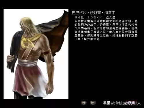 大航海时代4加强版海盗啊　大航海时代4海盗收服-第12张