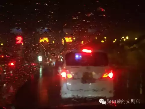 派对动物歌词有几个动物　派对动物五月天歌词-第1张