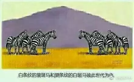 卡布西游白骨山探险怎么消除方块　卡布西游岩土圣石怎么得-第17张