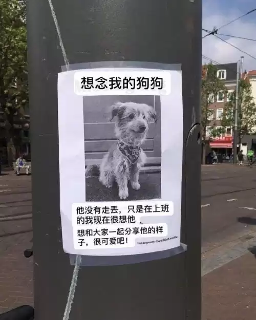 卡布西游白骨山探险怎么消除方块　卡布西游岩土圣石怎么得-第26张