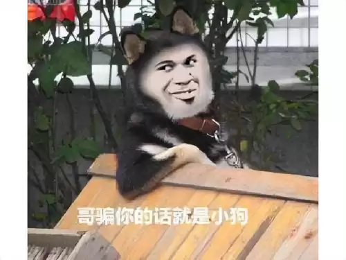 艾尔之光和dnf哪个烧钱　平民玩家玩dnf一月花多少钱-第9张