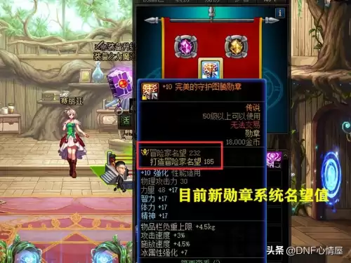 dnf勋章声望　dnf新勋章全部升满多少名望-第6张