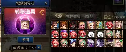 dnf金秋套宠物 DNF金秋礼包宠物-第8张