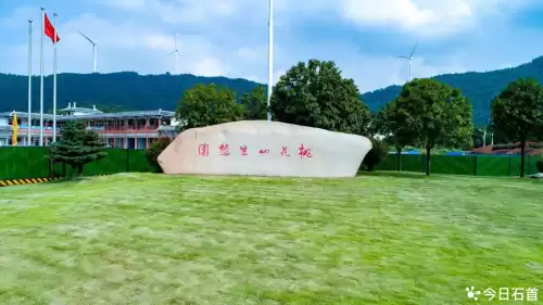 桃花山风景区在哪里　石首一日游最佳景点-第9张