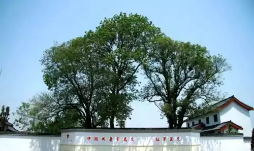 桃花山风景区在哪里　石首一日游最佳景点-第13张
