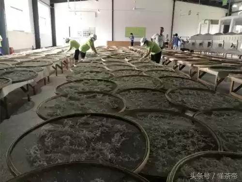 原神茶在哪里买　懂茶的一般在哪买茶叶-第7张
