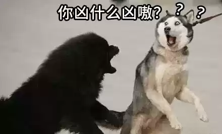 明日之后怎么把狗换成哈士奇　明日之后5种马的位置-第1张