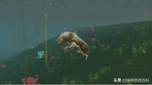 德鲁伊职业任务怎么做　德鲁伊必做职业任务-第4张