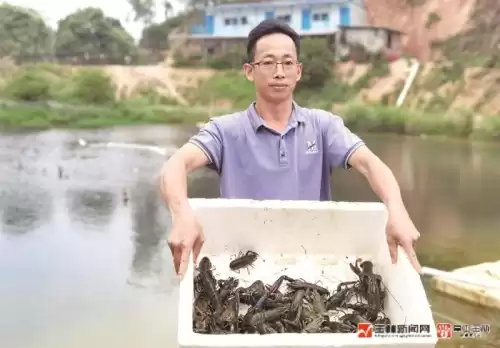 蓝龙虾是保护动物吗　布列塔尼龙虾不是蓝龙虾-第1张