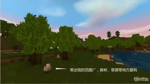 迷你世界的宠物哪里看　迷你宠物-第1张