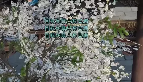 天龙八部汴京为什么这么卡　新天龙八部汴京城玩法-第1张