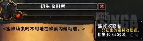 怪物猎人世界蜂蜜怎么给物品　怪物猎人世界速刷蜂蜜-第2张