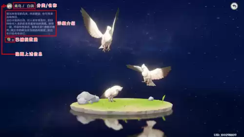 原神怎么驯服宠物 原神怎么捕捉宠物-第4张