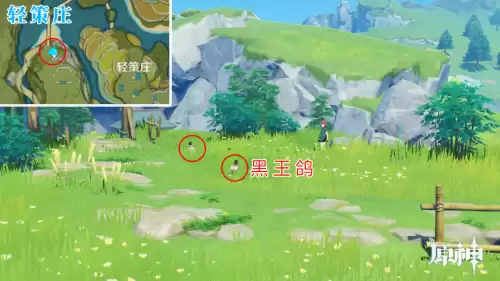 原神怎么驯服宠物 原神怎么捕捉宠物-第11张