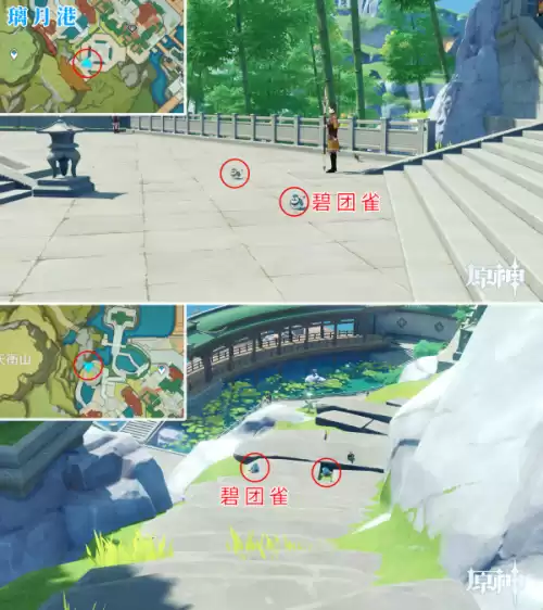 原神怎么驯服宠物 原神怎么捕捉宠物-第15张