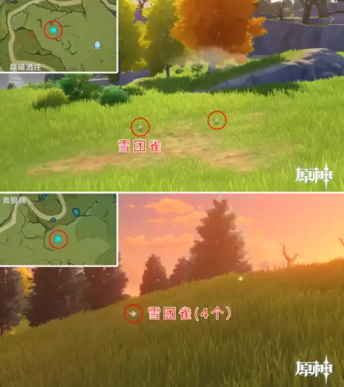 原神怎么驯服宠物 原神怎么捕捉宠物-第14张