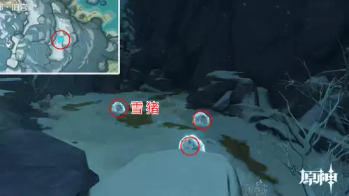 原神怎么驯服宠物 原神怎么捕捉宠物-第22张