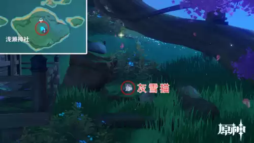 原神怎么驯服宠物 原神怎么捕捉宠物-第24张