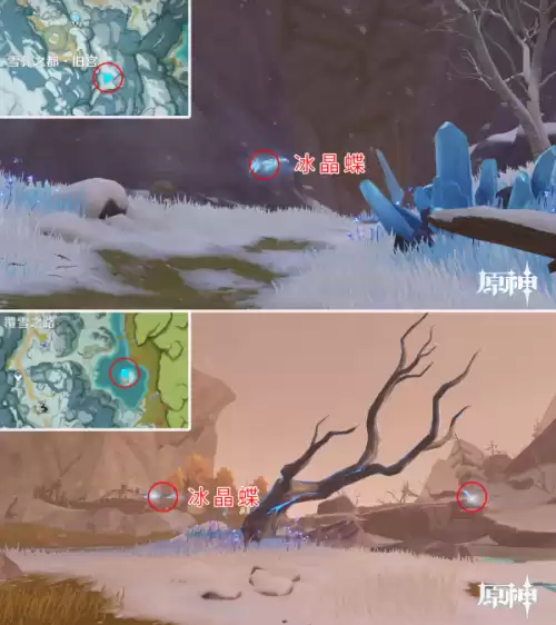 原神怎么驯服宠物 原神怎么捕捉宠物-第28张