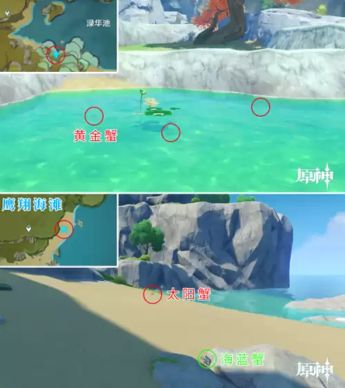 原神怎么驯服宠物 原神怎么捕捉宠物-第34张
