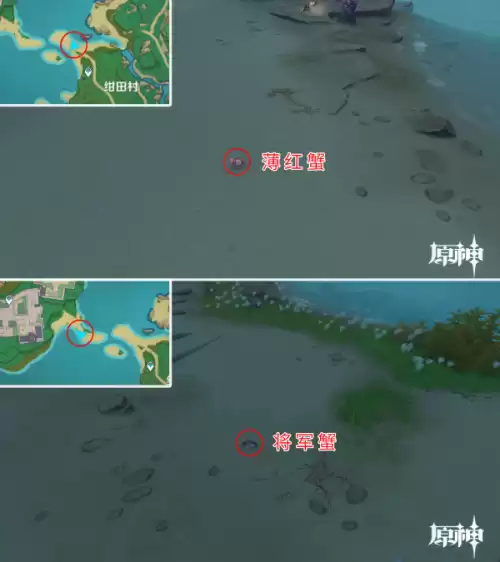 原神怎么驯服宠物 原神怎么捕捉宠物-第35张