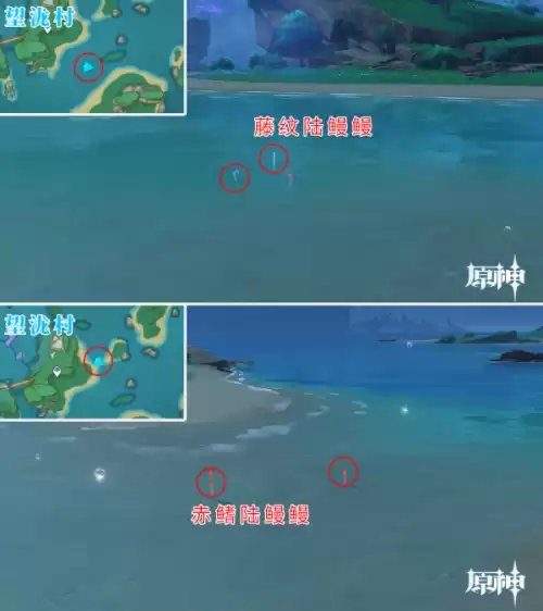 原神怎么驯服宠物 原神怎么捕捉宠物-第38张