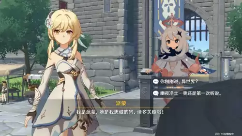 原神的玩家都取什么名字　原神什么名字好听-第5张