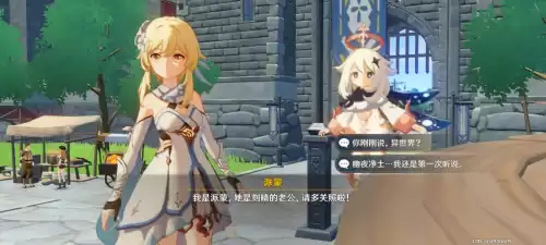 原神的玩家都取什么名字　原神什么名字好听-第8张