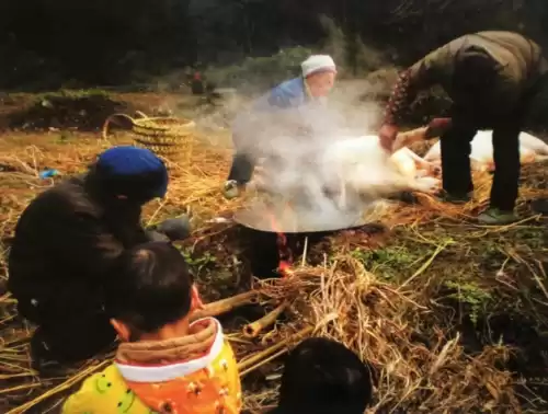 万灵起源有哪几个区　万灵召唤-第2张
