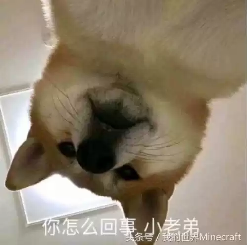 我的世界蘑菇方块怎么做　我的世界大蘑菇-第6张