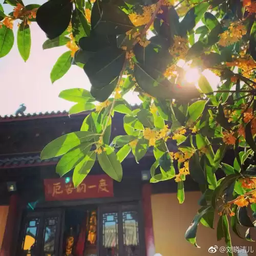 万玉枝与高咏怎么认识的　高枝枝和李双银最终还是在一起吗-第17张