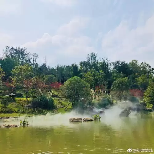 万玉枝与高咏怎么认识的　高枝枝和李双银最终还是在一起吗-第19张