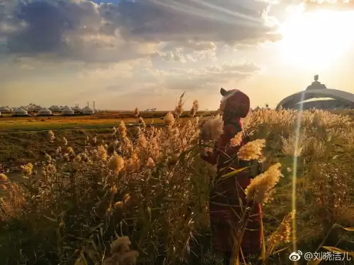 万玉枝与高咏怎么认识的　高枝枝和李双银最终还是在一起吗-第21张