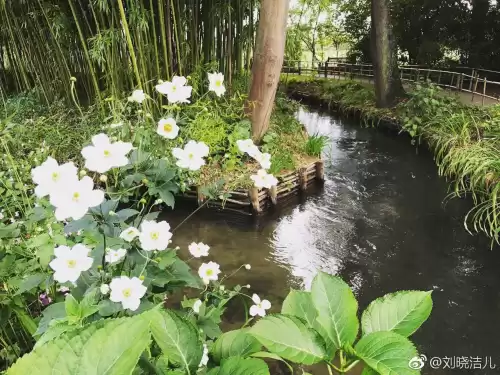 万玉枝与高咏怎么认识的　高枝枝和李双银最终还是在一起吗-第26张