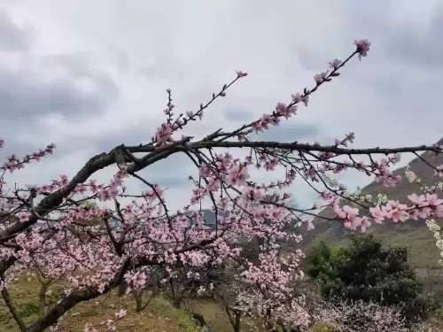 贵阳桃花岛风景区好玩吗　贵阳欢乐世界在哪里-第1张